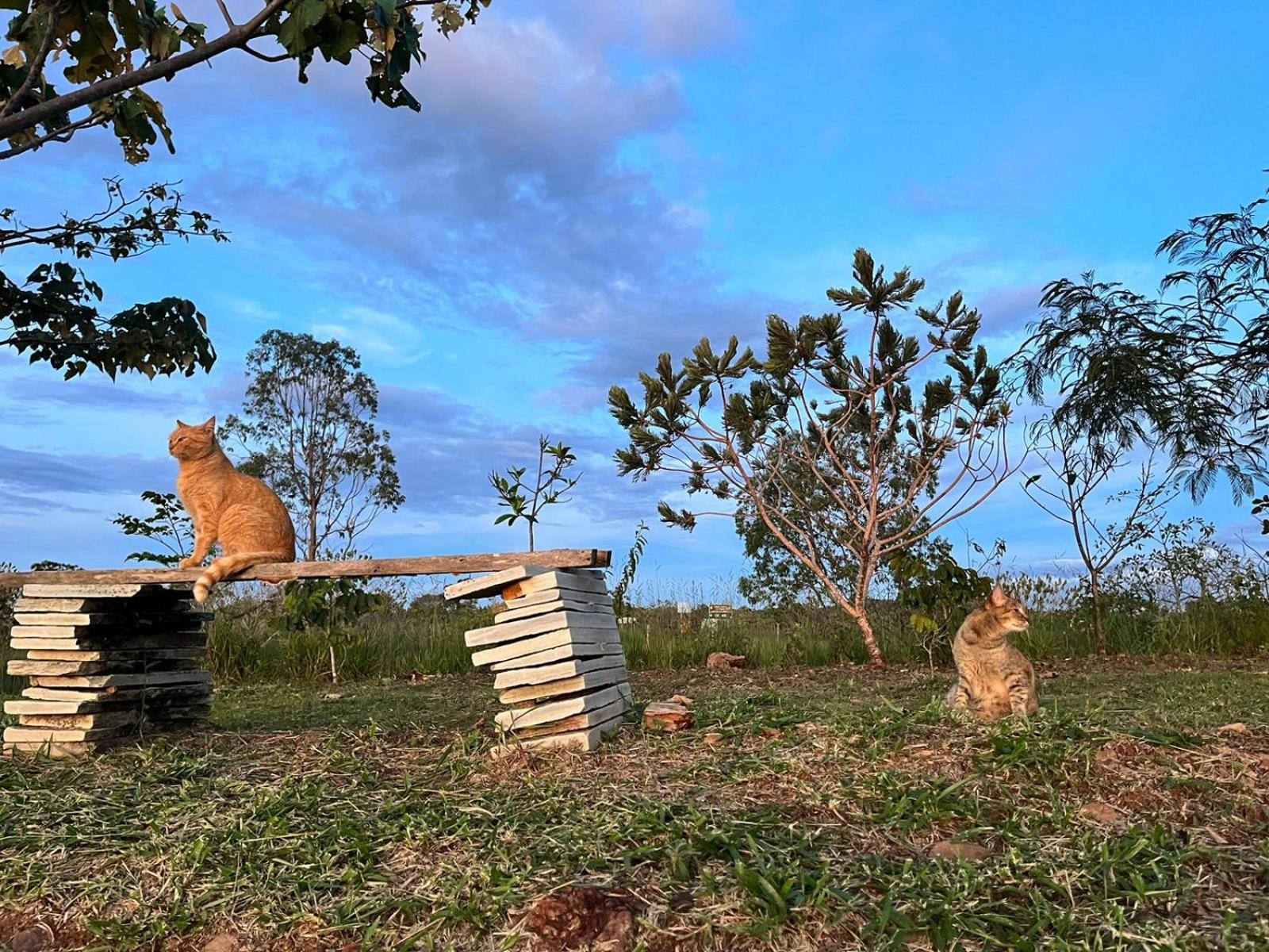 Pousada Refugio Da Serra Pirenópolis Buitenkant foto