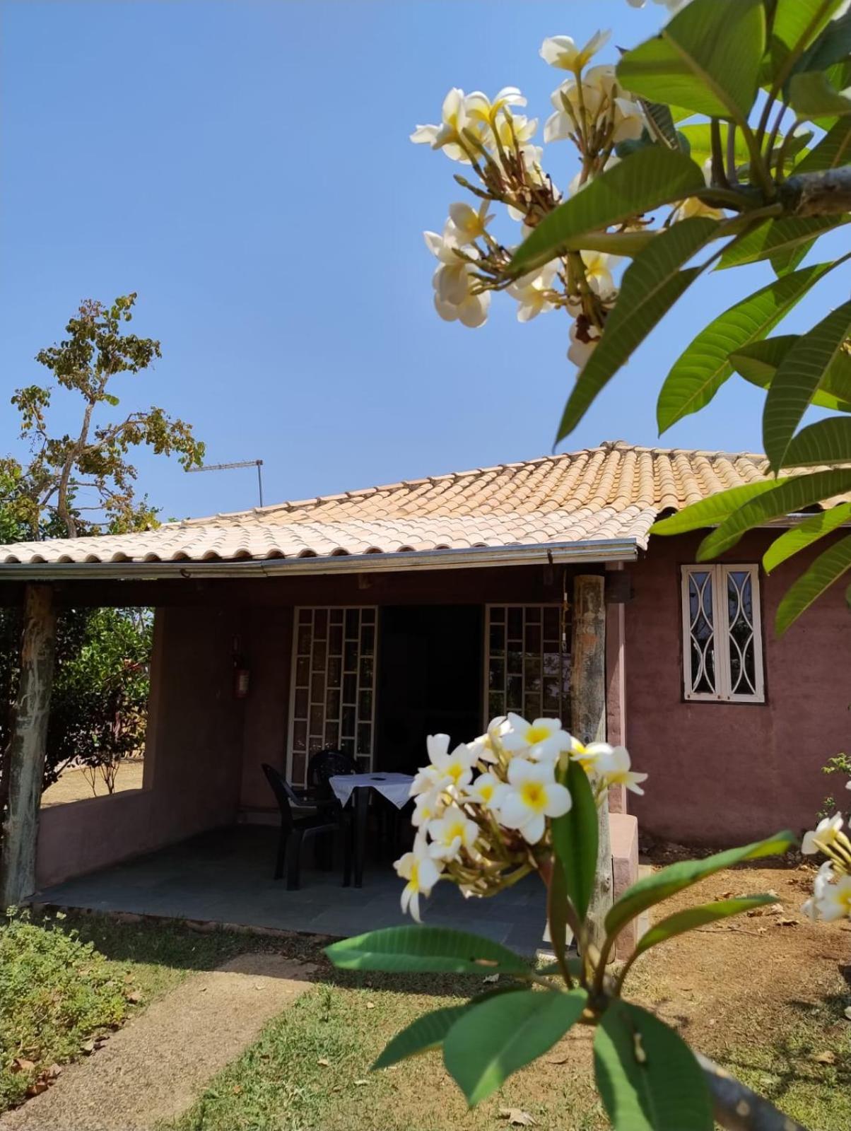 Pousada Refugio Da Serra Pirenópolis Kamer foto